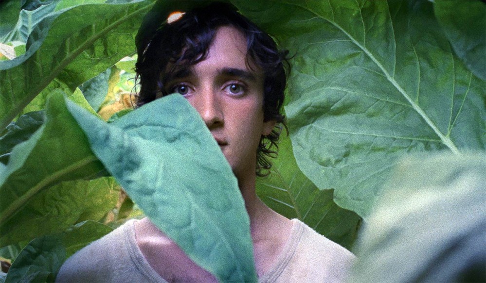 Kino: Srečen kot Lazzaro (drama)