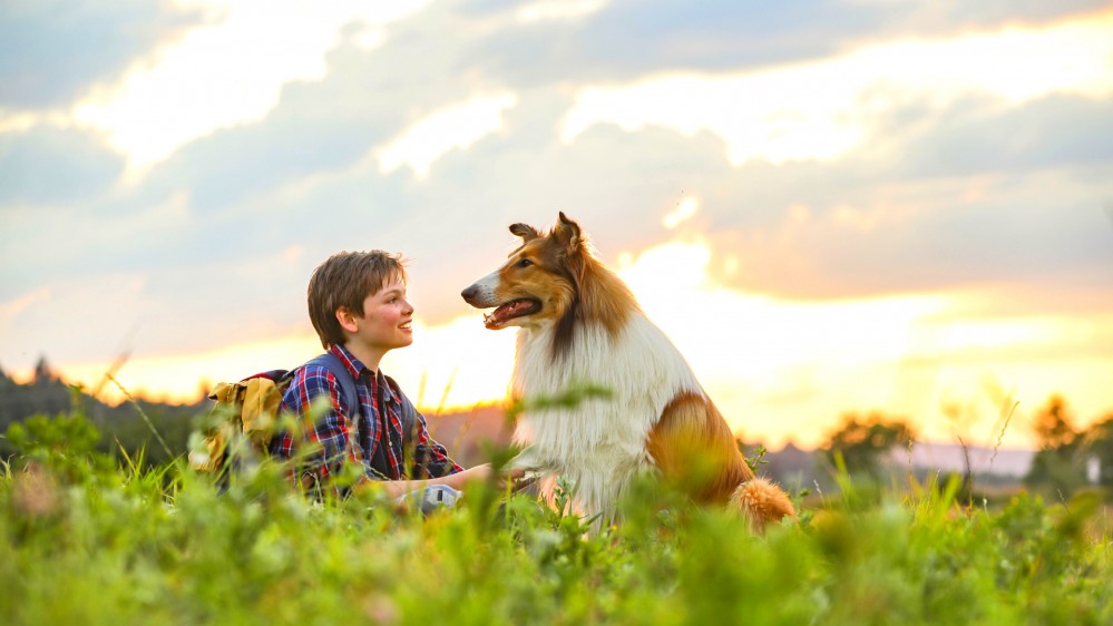 Lassie (družinski film)